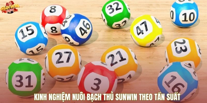 Kinh nghiệm nuôi bạch thủ Sunwin theo tần suất